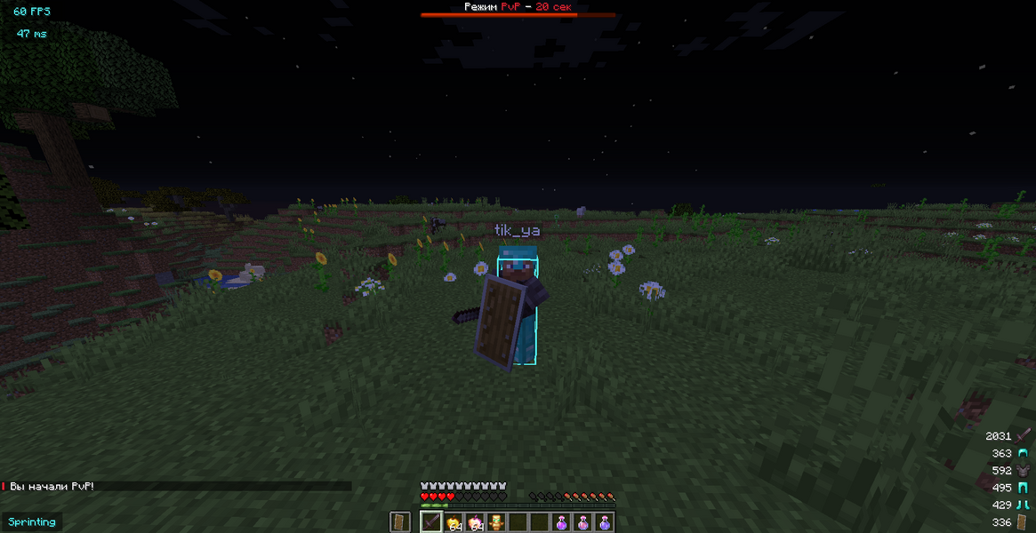 javaw_GgXl3G2McT.png