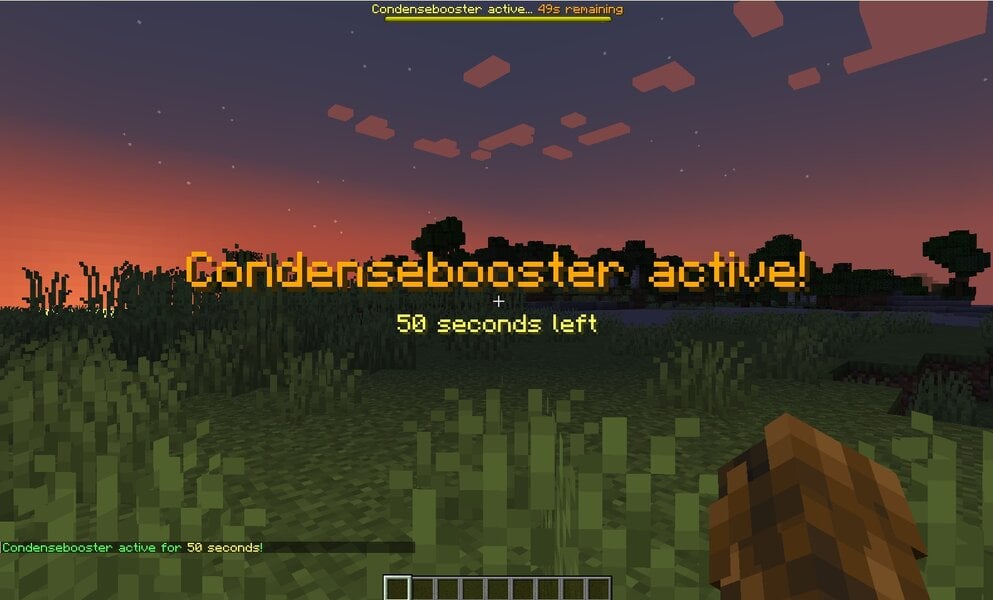 booster.jpg