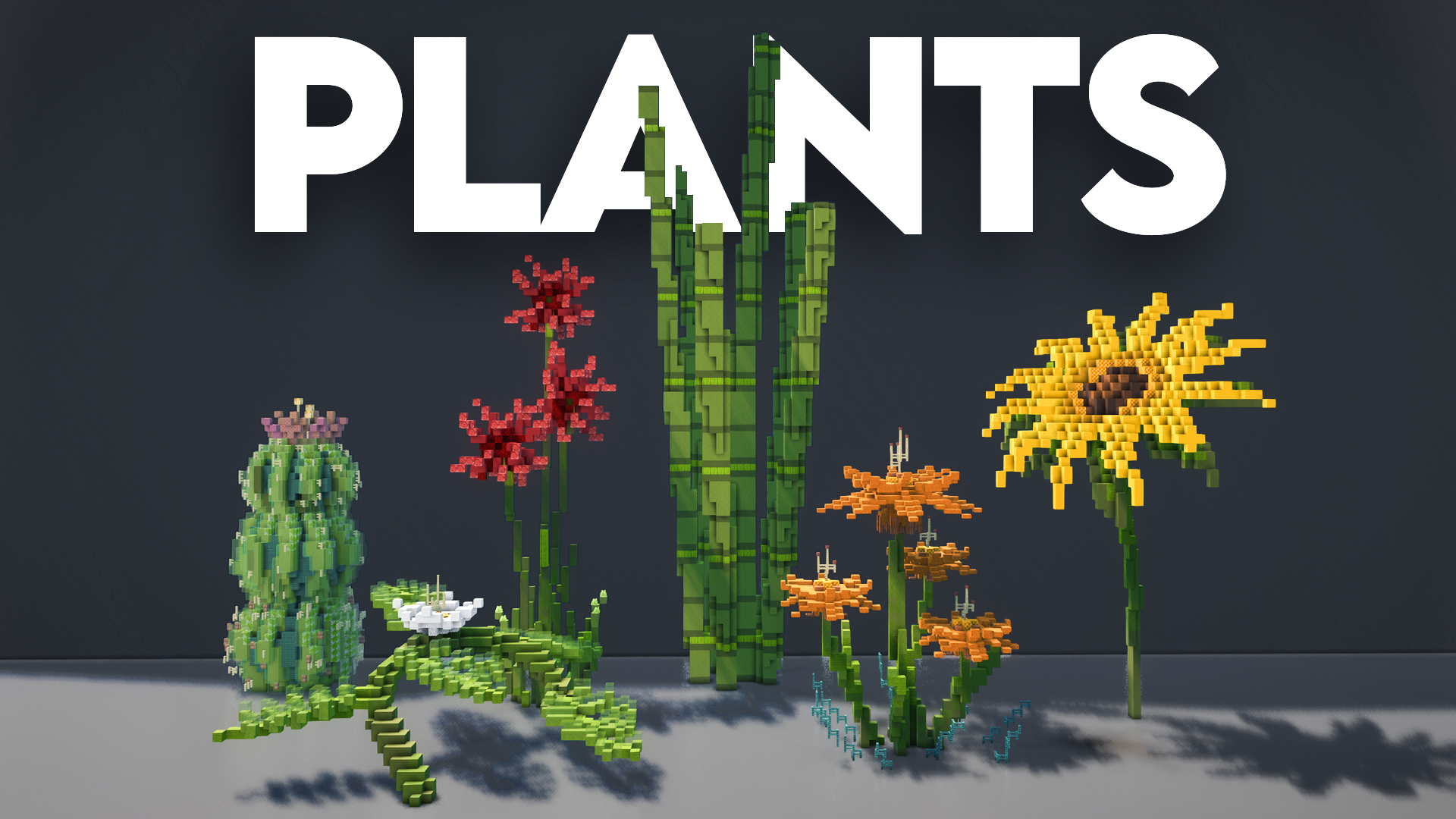 Plantshorace.png