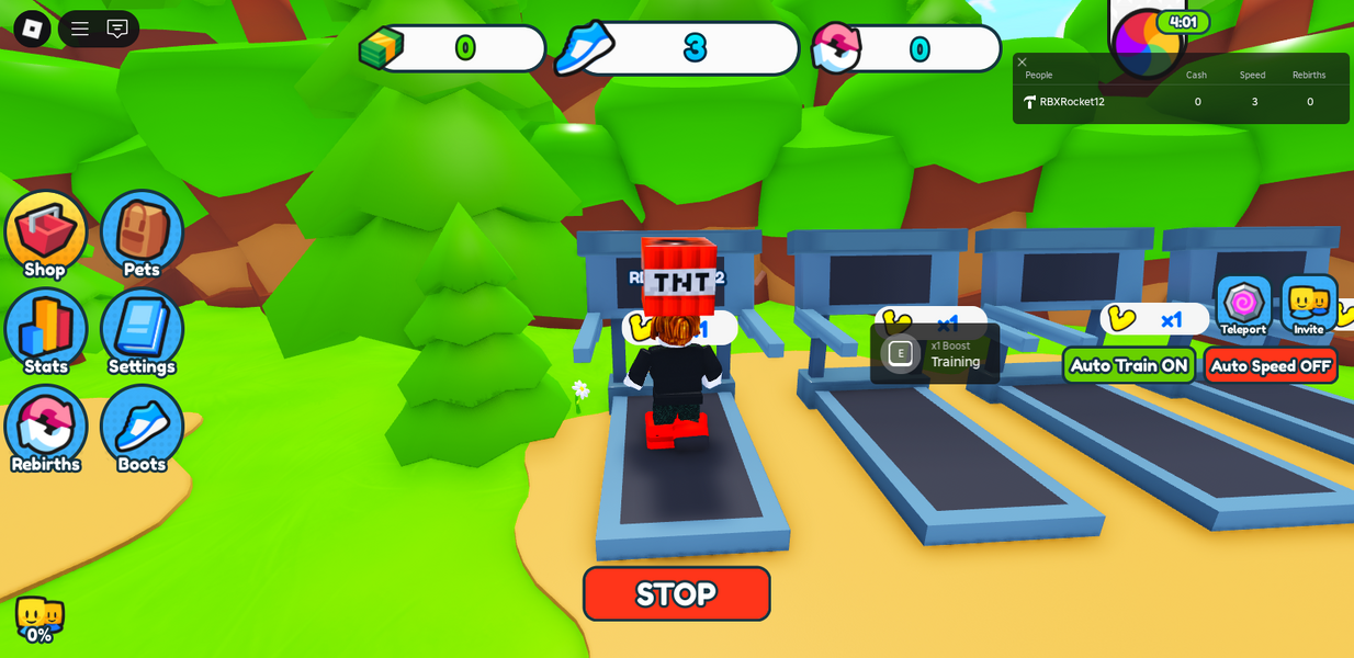 RobloxScreenShot20250505_001333869.png