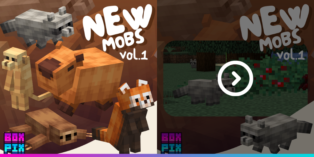 BBB PACK.png