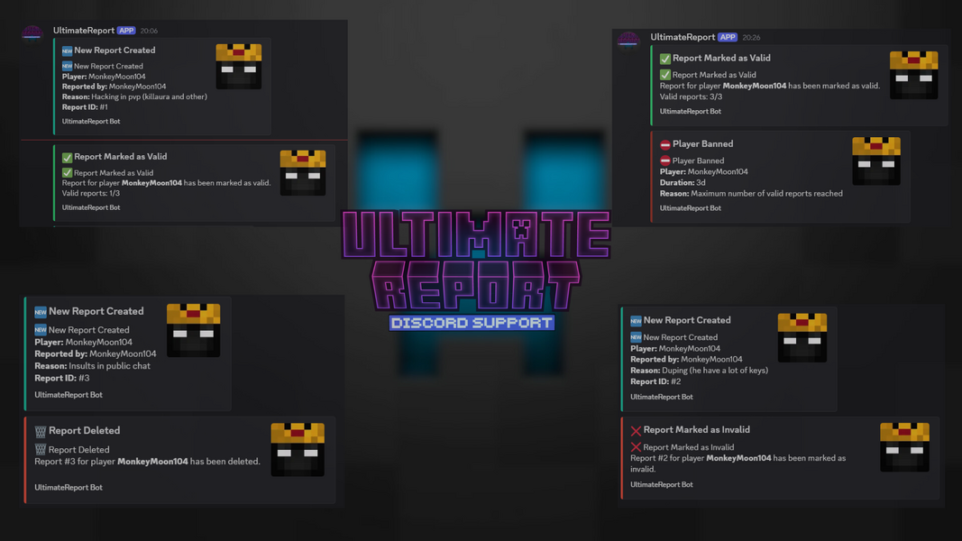 discord_support_report.png