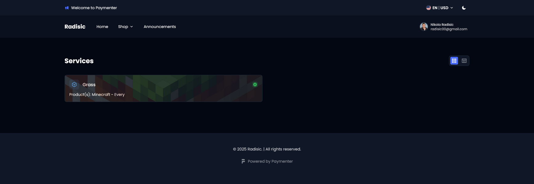 Screenshot 2025-06-07 at 15-22-09 Radisic - Services.png