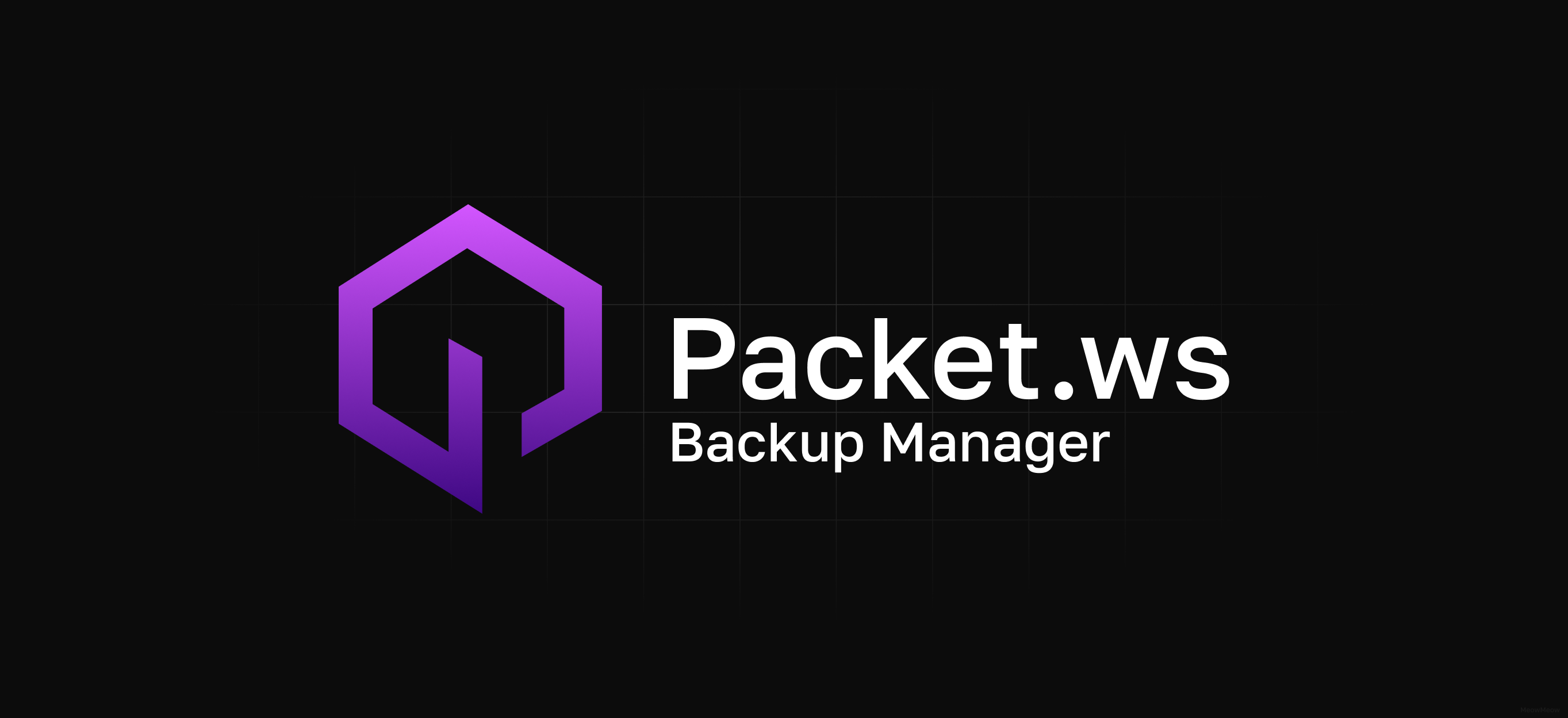 packetws (1).png