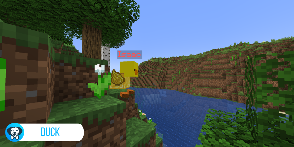 Duck.png