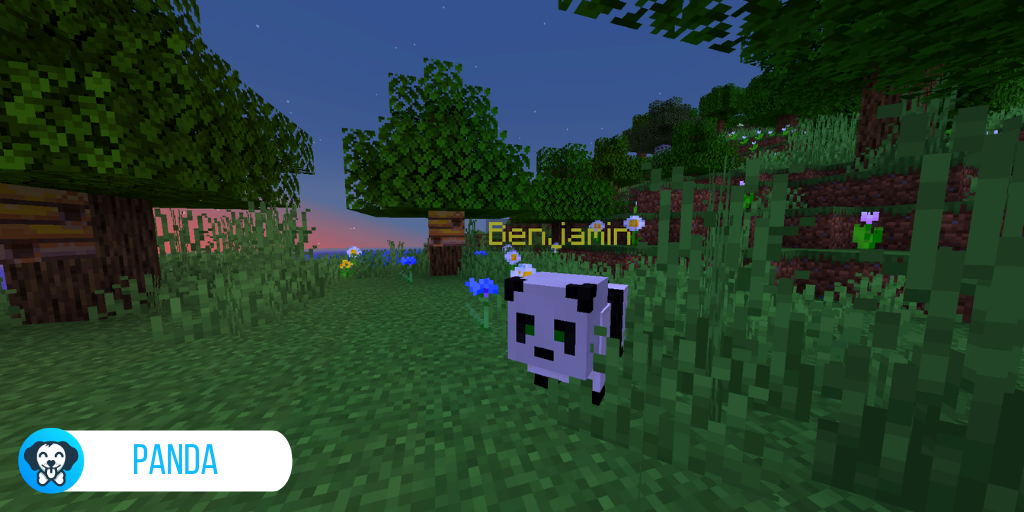 Panda.png