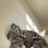 zzzstore