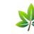 LeafStudios